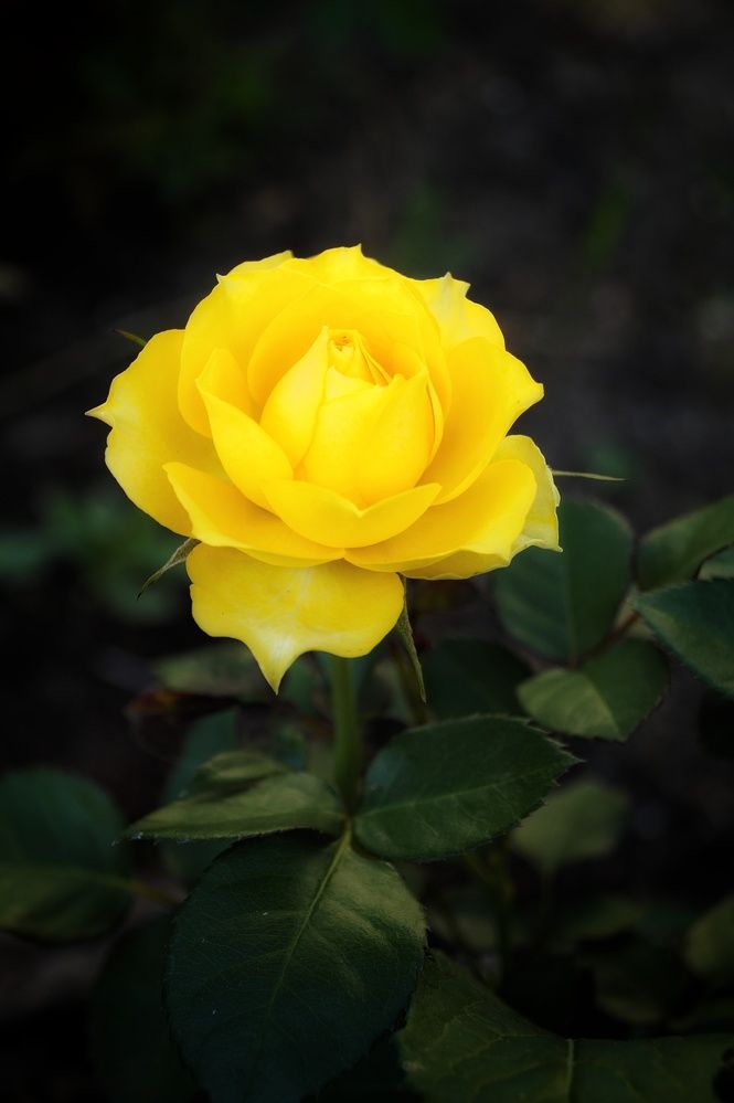 Photograph by Светлана Филина