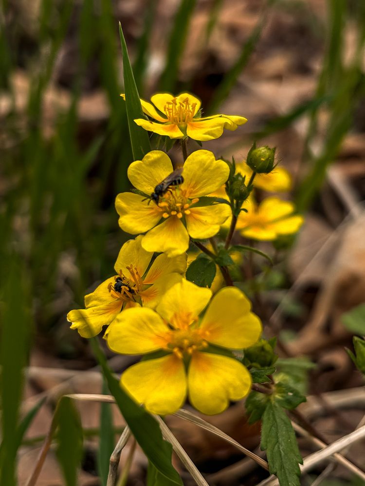 Photograph by Юлия Куклина