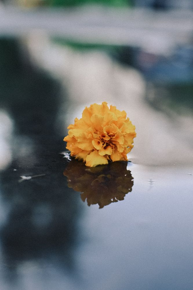 Photograph by Катерина Гущина