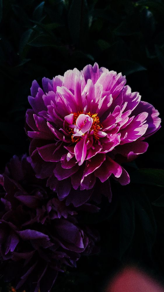 Photograph by Катерина Гущина