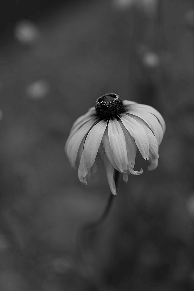 Photograph by Оксана Серёгина