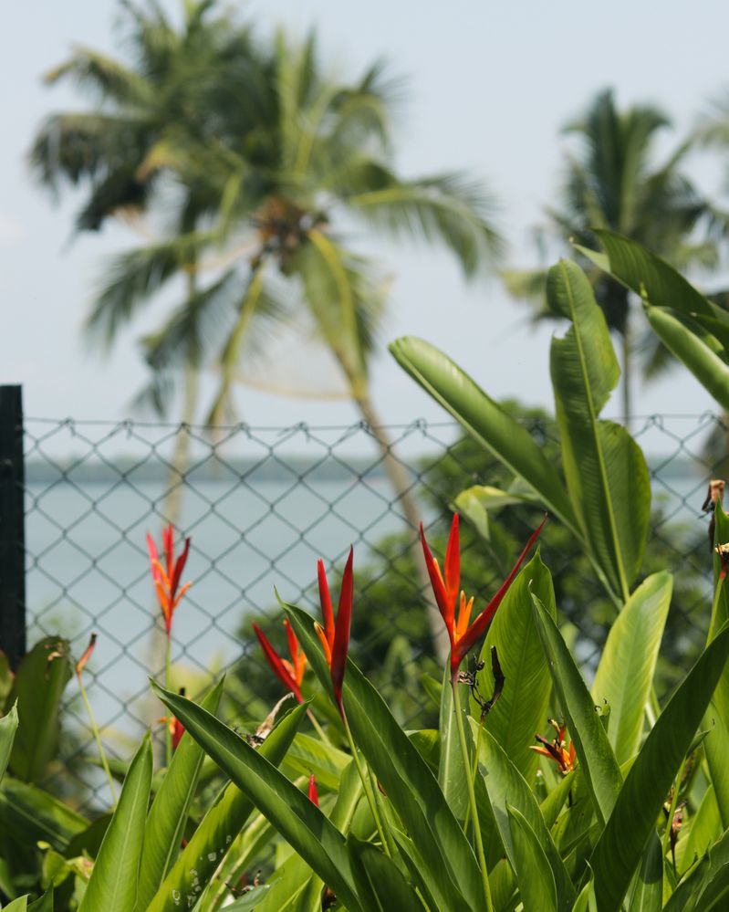 Photograph by Muhammed Junaid A P