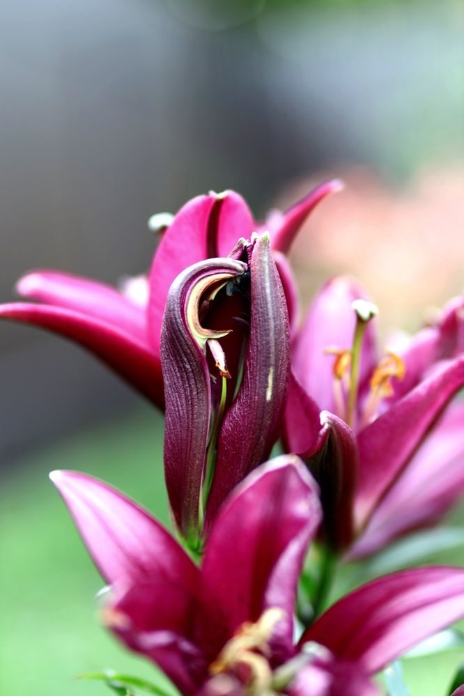 Photograph by Оксана Серёгина