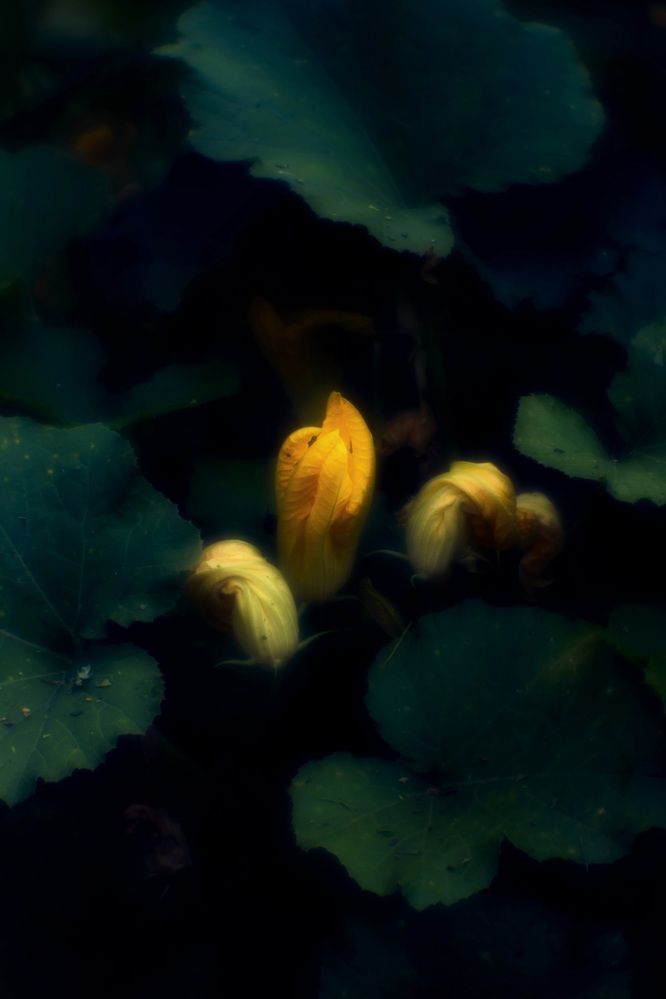 Photograph by Оксана Серёгина