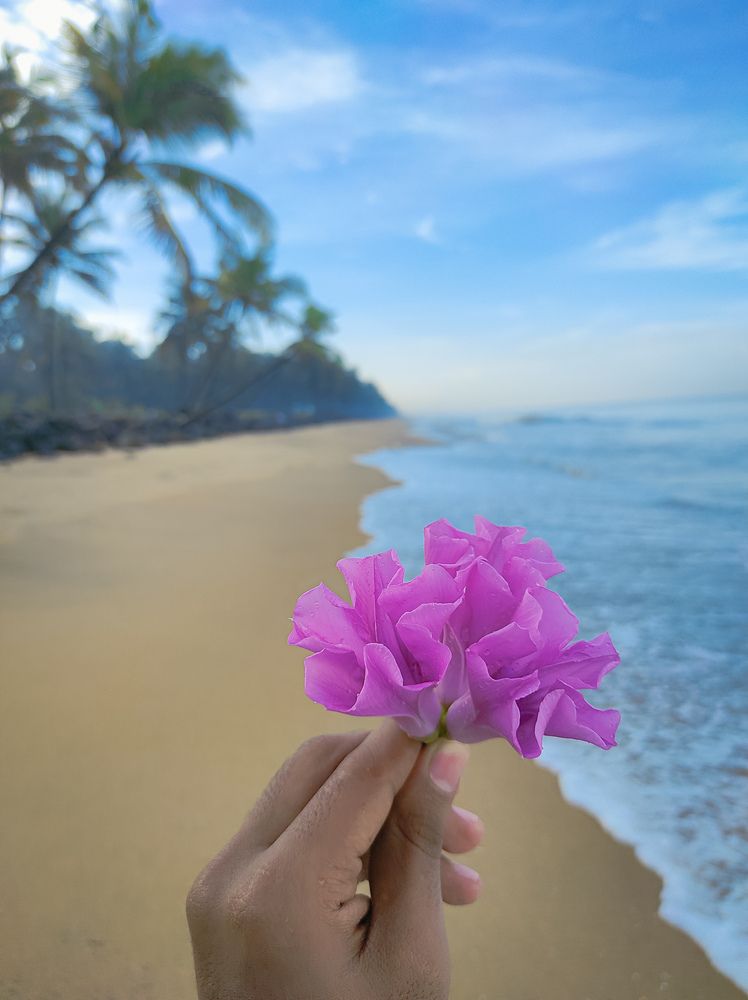 Photograph by Muhammed Junaid A P