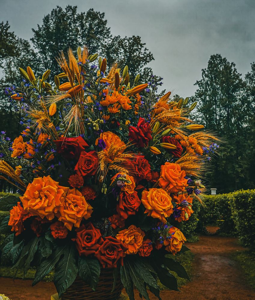 Photograph by Дайана