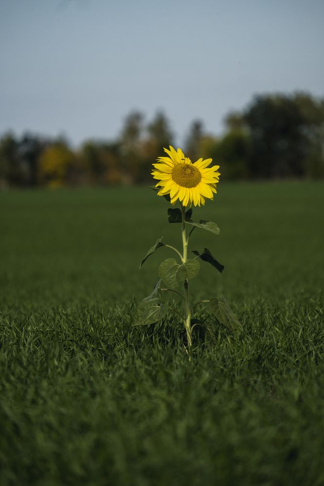 Photograph by Дмитрий Гривцов