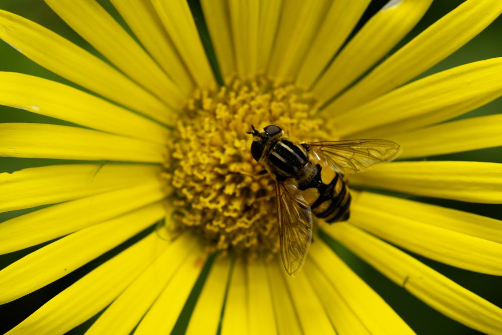 Photograph by Дмитрий Гривцов