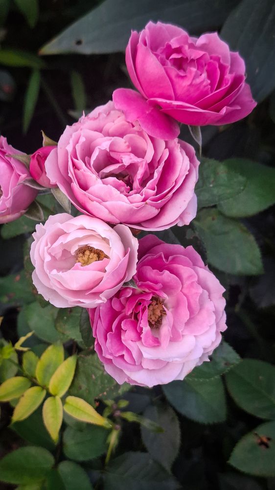 Photograph by Tatiana Kirillova