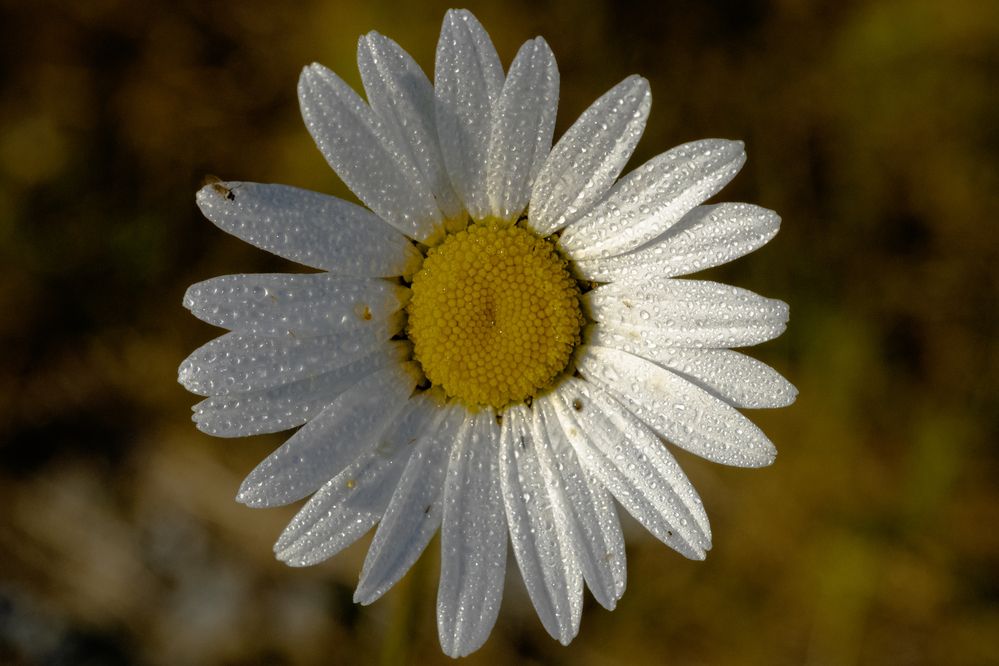 Photograph by Дмитрий Гривцов