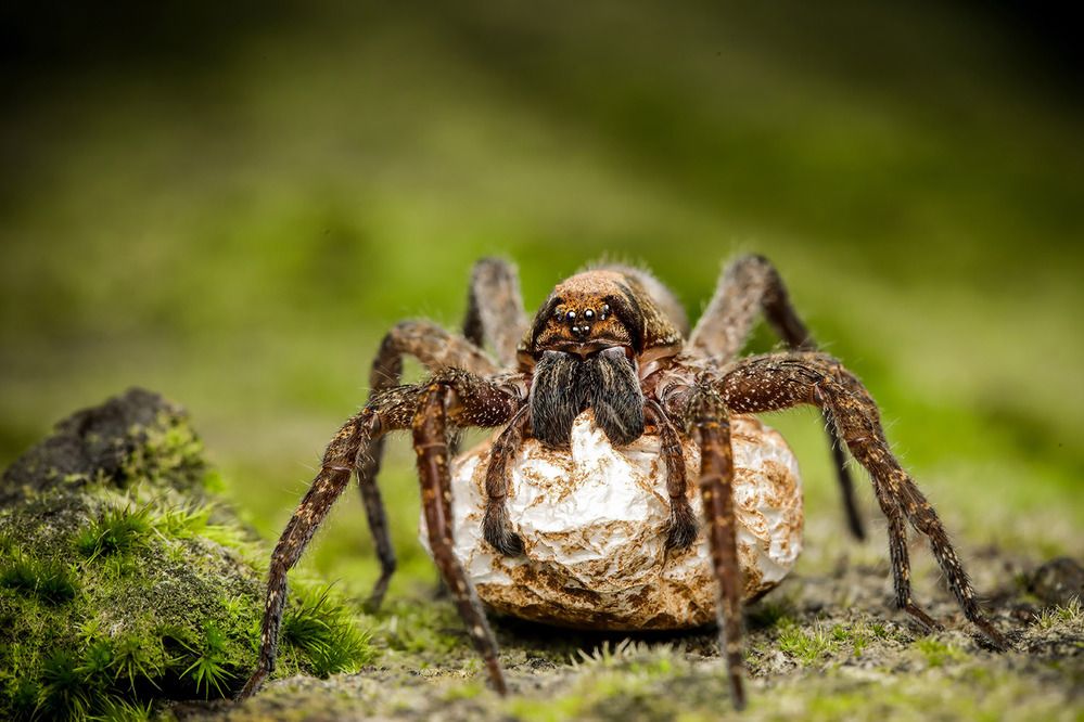 Photograph by Dhruv Shilpi