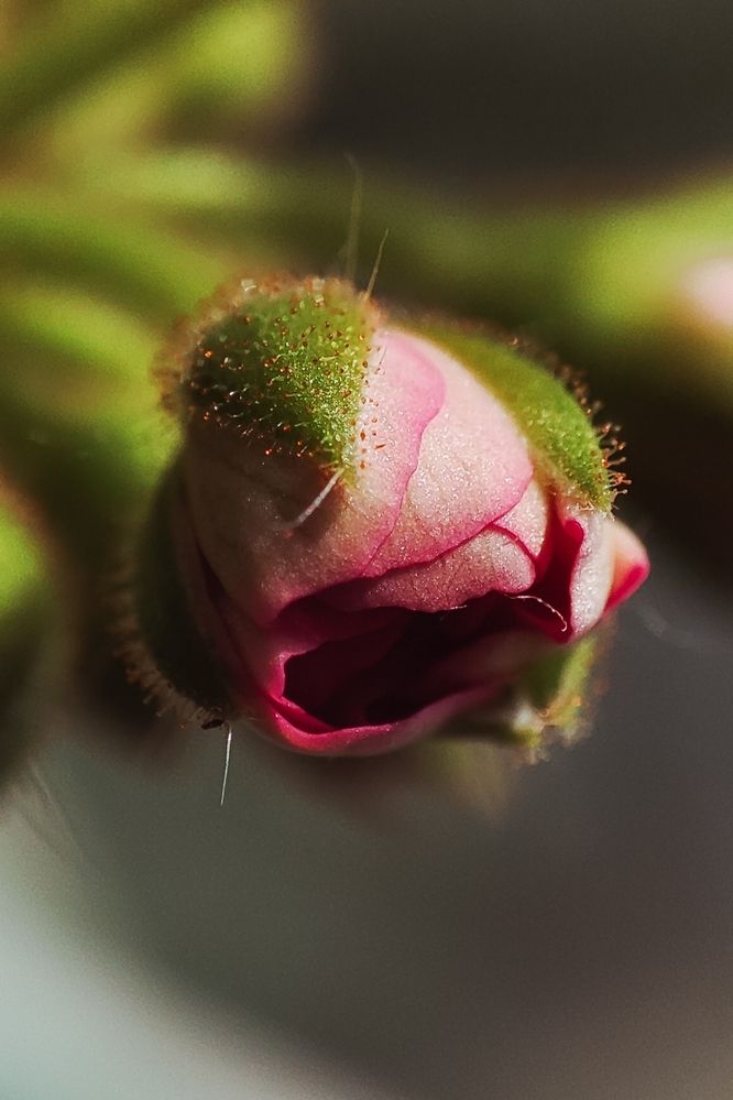 Photograph by Ирина Строкова