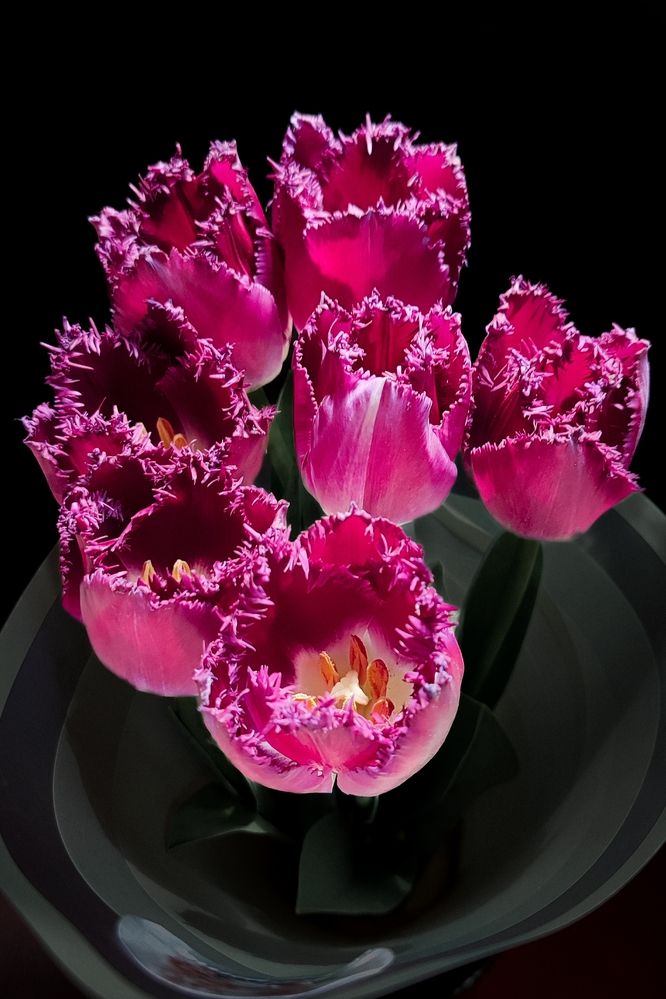 Photograph by Ирина Строкова