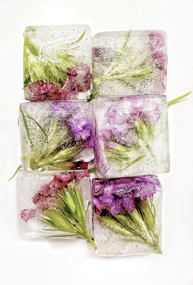 Photograph by Светлана Моисеева