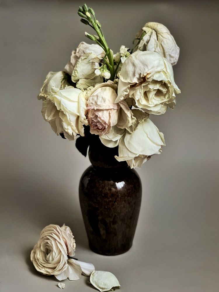 Photograph by Светлана Моисеева