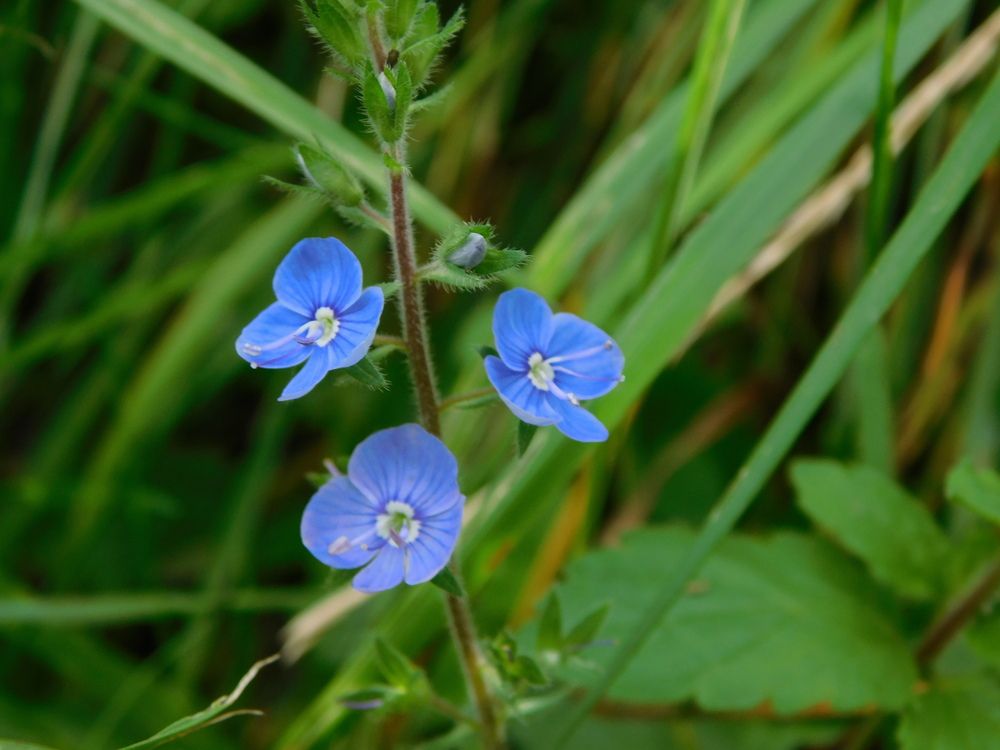 Photograph by Александр Прядко