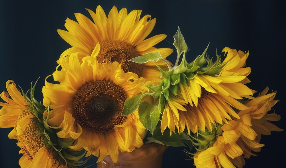 Фотография автора Рамзия Хисамутдинова