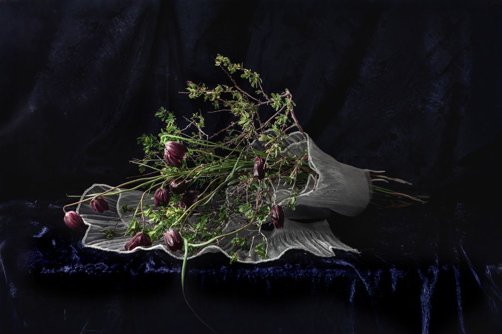 Фотография автора Светлана Громова