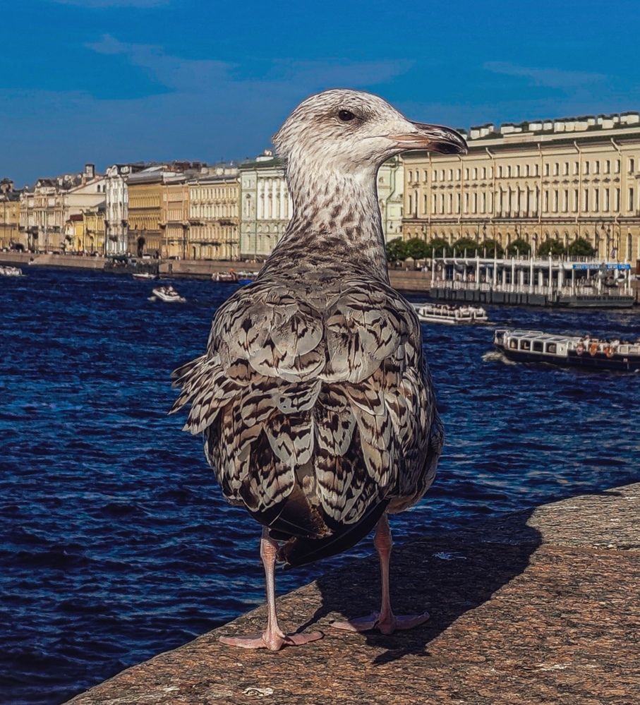 Photograph by Дайана