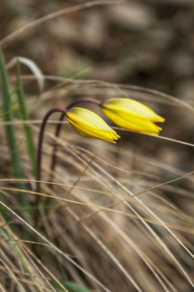 Photograph by Сергей Кравченко