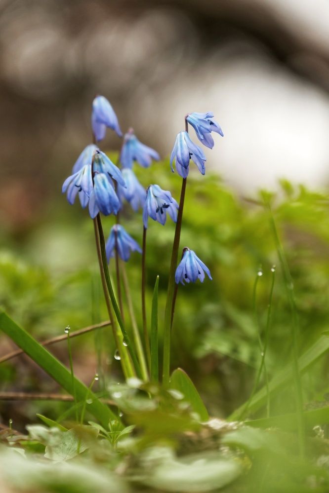 Photograph by Сергей Кравченко