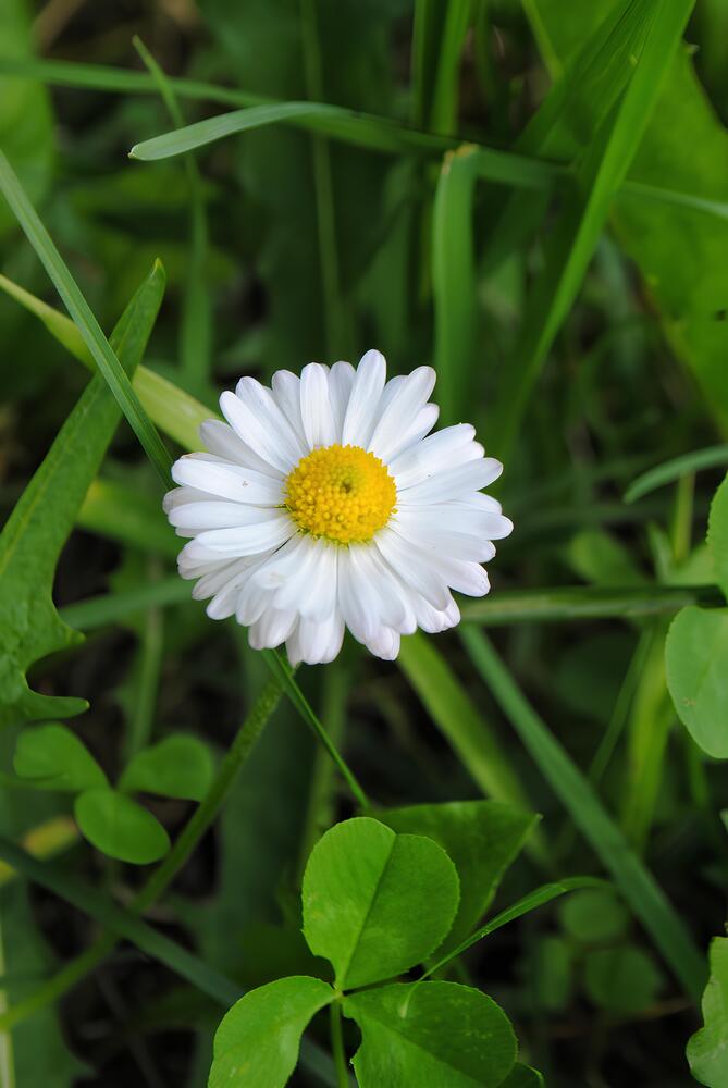 Photograph by Юлия Будникова