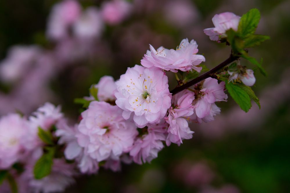 Photograph by  Богдан