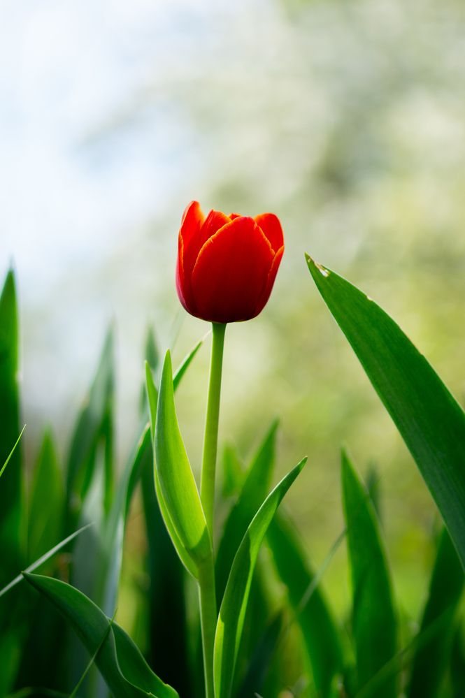 Photograph by  Богдан