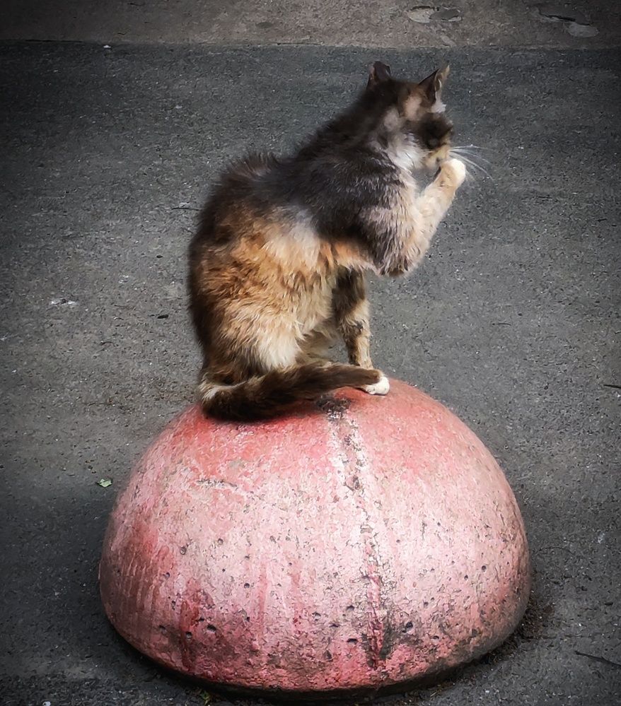 Photograph by Дайана