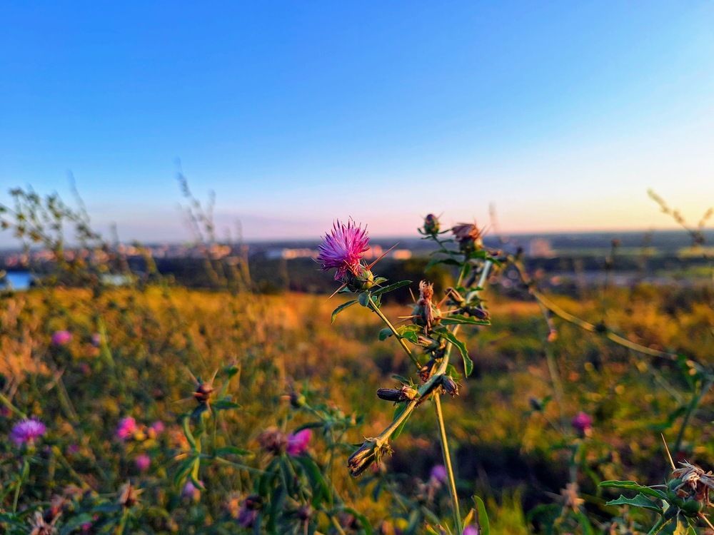 Фотография автора Даниил Барченко