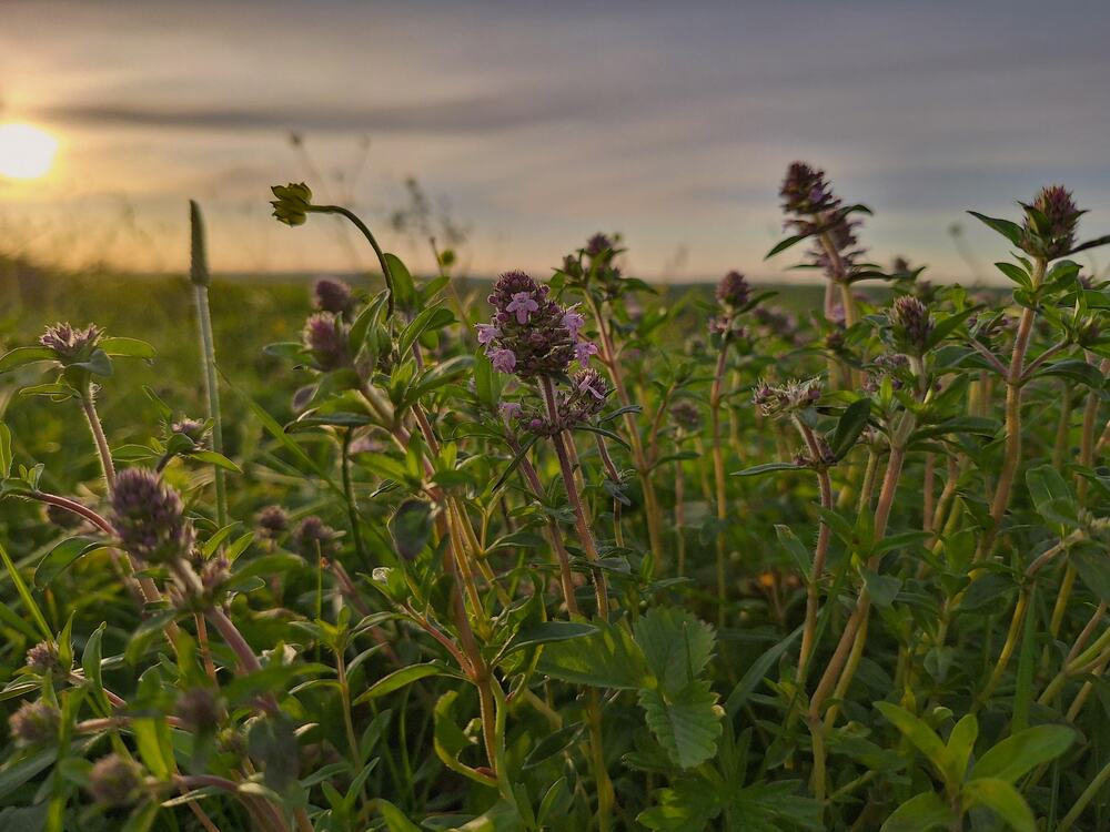 Фотография автора Даниил Барченко