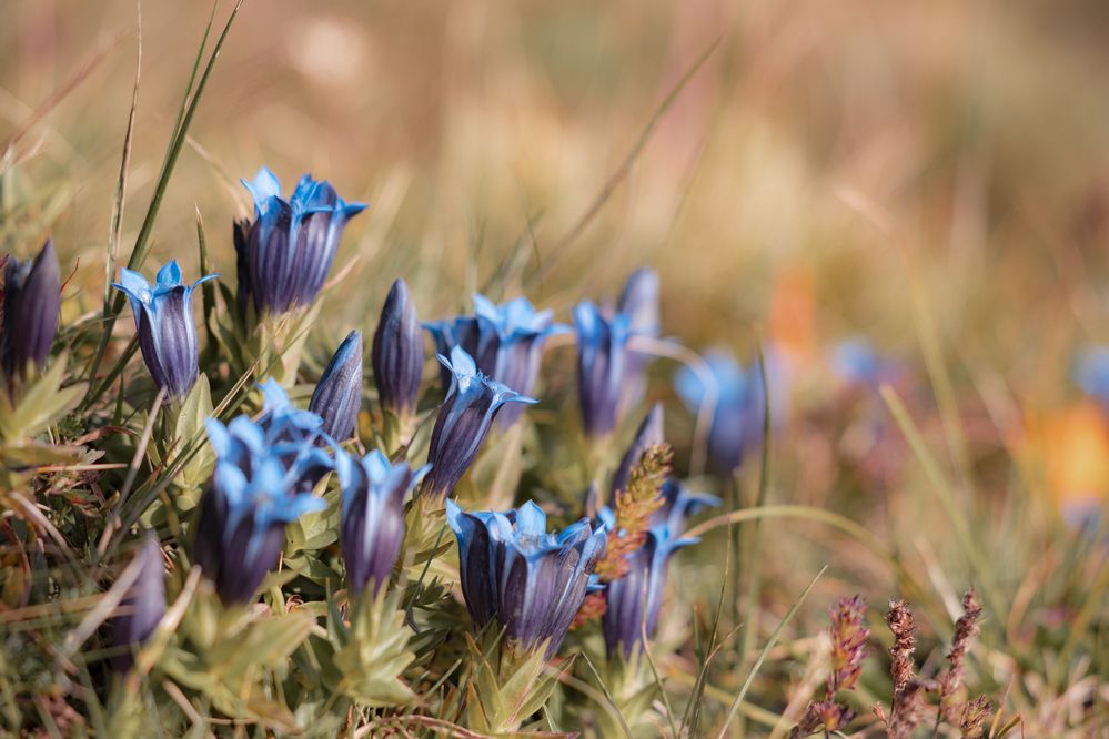 Photograph by Максим Мураков