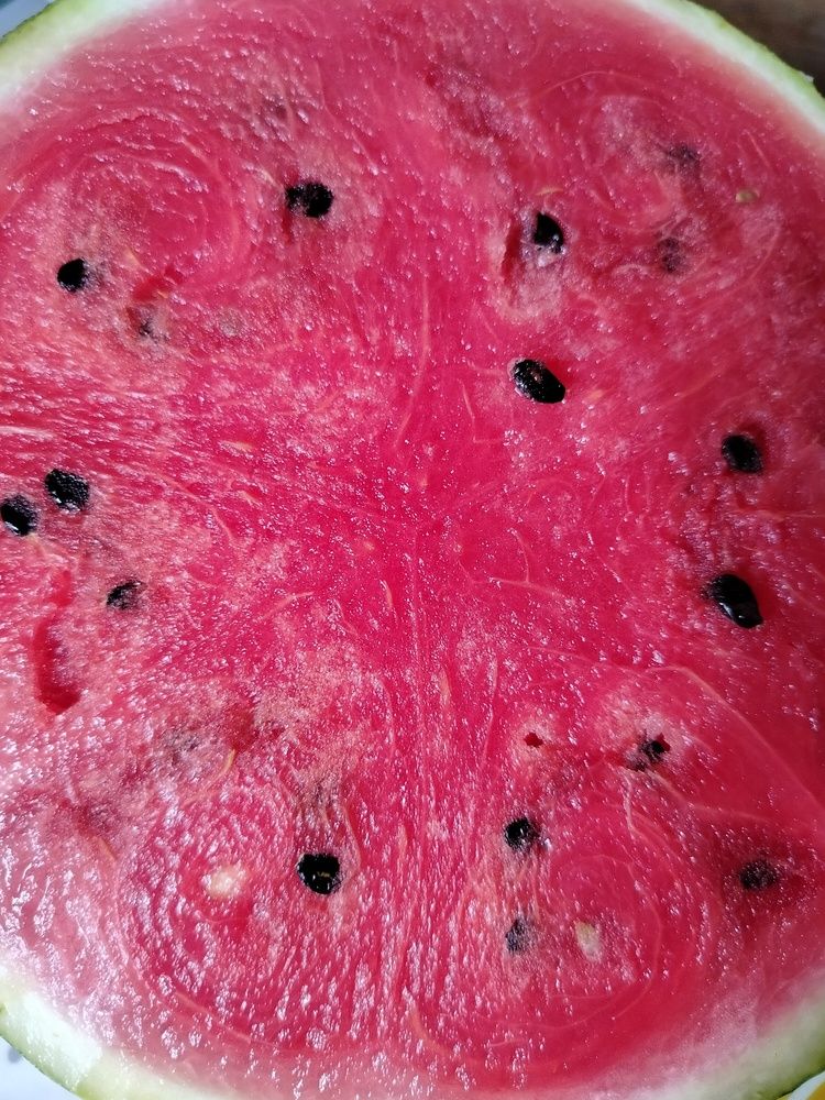 Photograph by Адамян Анна