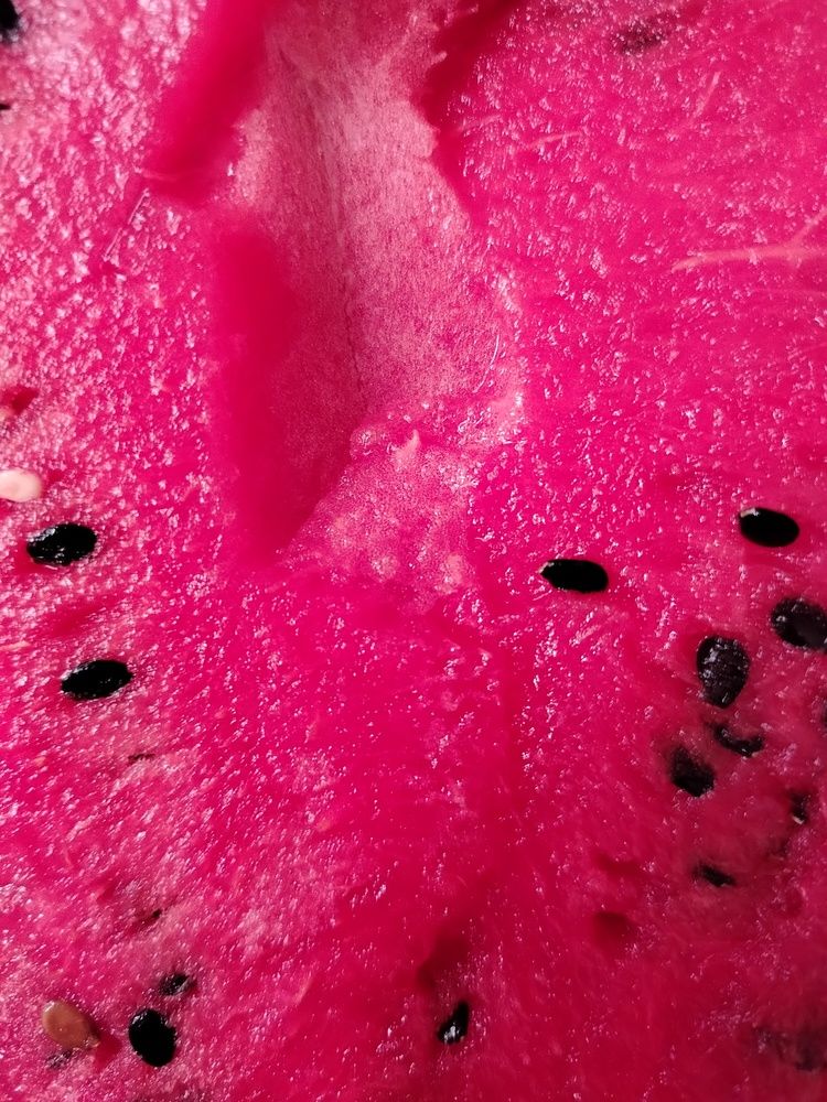 Photograph by Адамян Анна