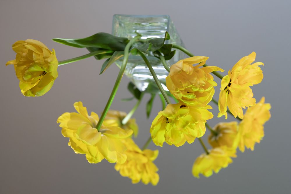 Photograph by Максим Мураков