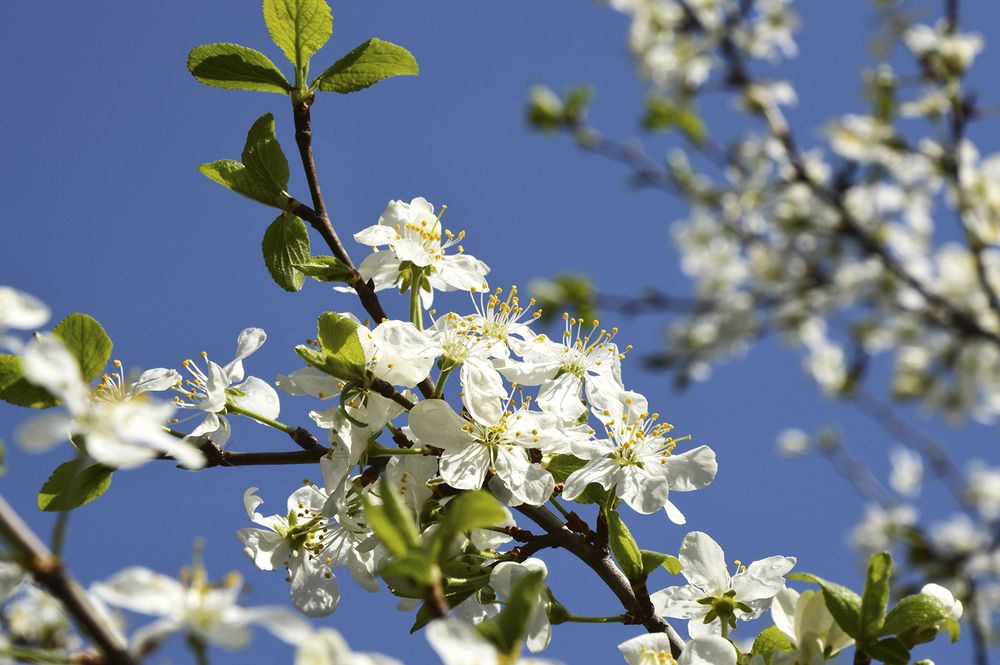 Photograph by Алексей Парамонов