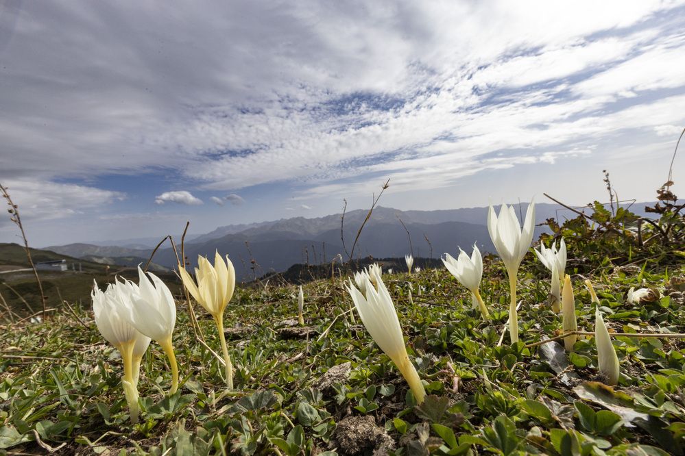Photograph by Максим Мураков