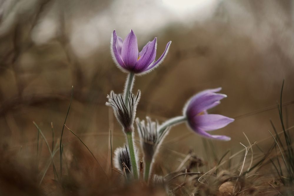 Photograph by Ольга Маковеева