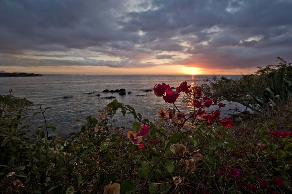 Photograph by Максим Мураков