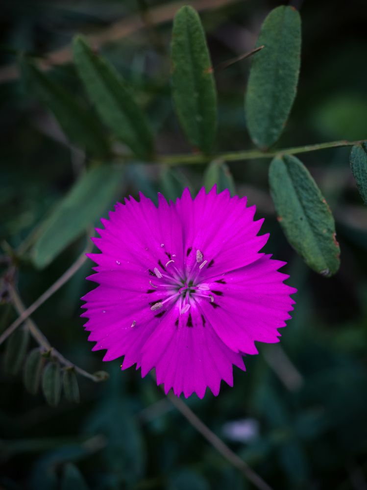 Photograph by Игорь Кабанов