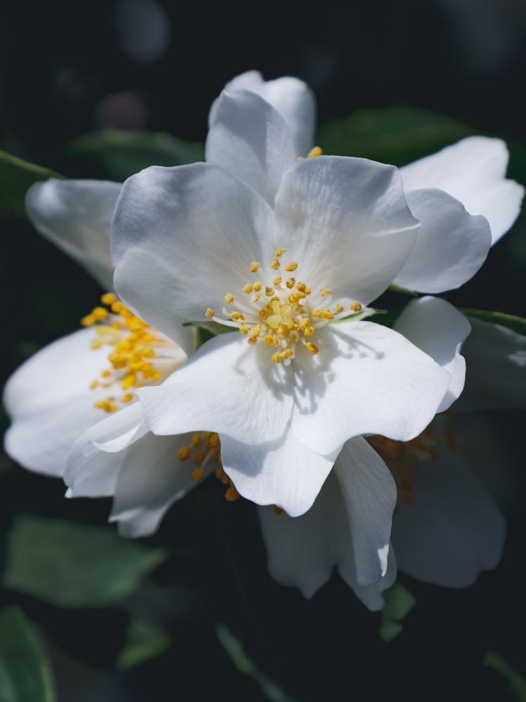 Photograph by Игорь Кабанов