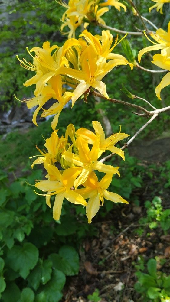 Photograph by Елена Малкова