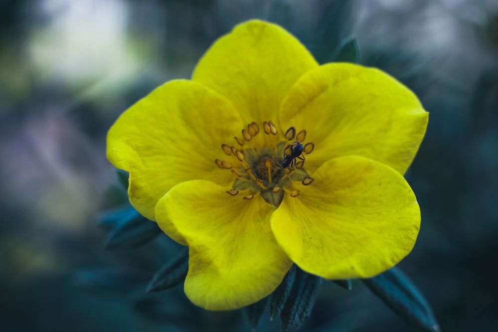 Photograph by Игорь Кабанов