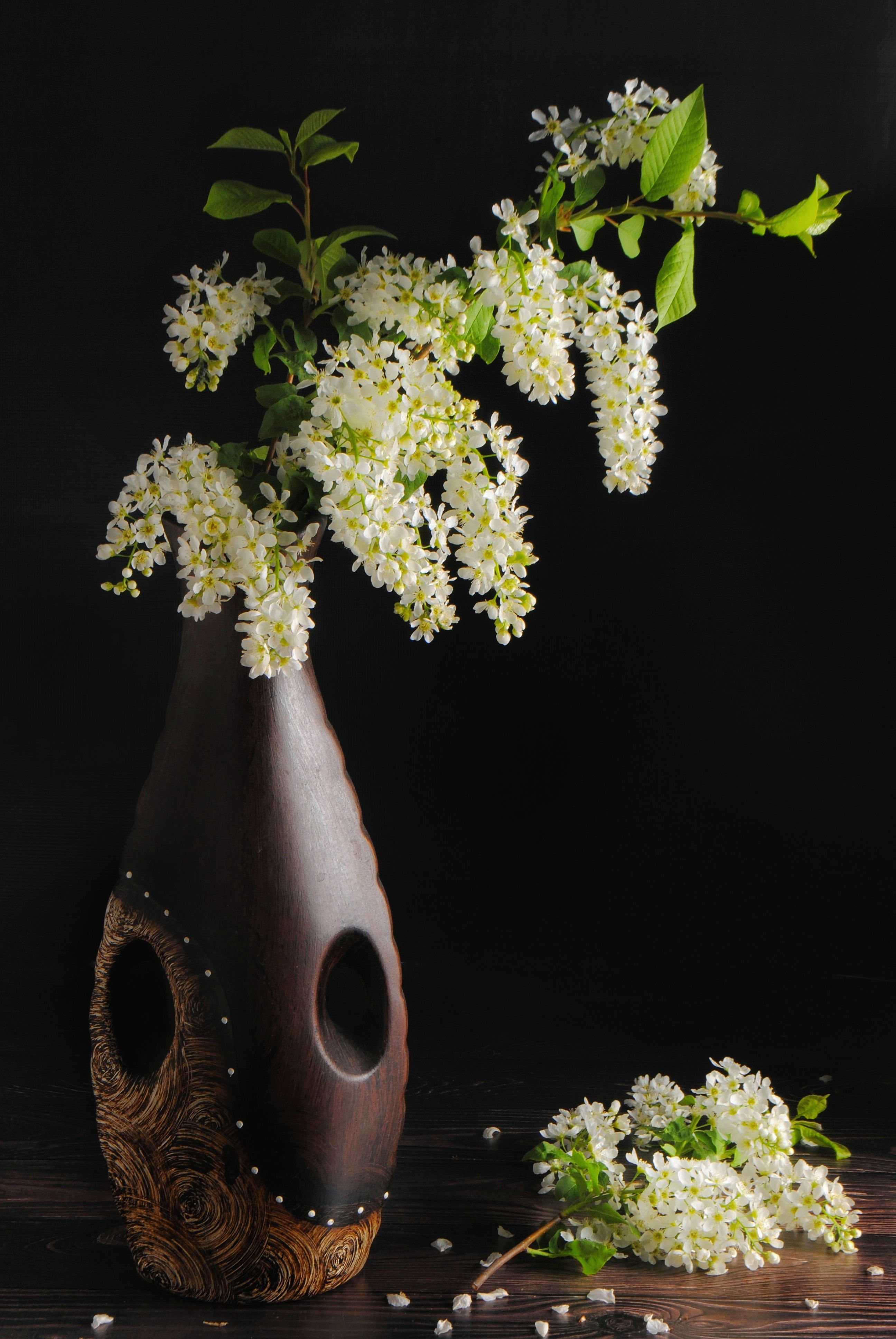 Photograph by Юлия Будникова