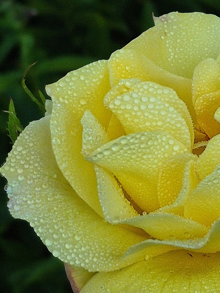 Photograph by Наталья Феоктистова