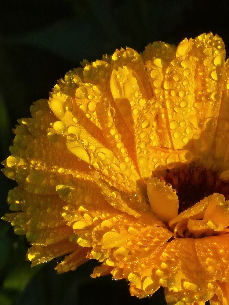 Photograph by Наталья Феоктистова