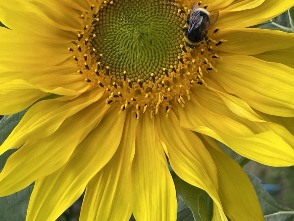 Photograph by Марина Мирошниченко