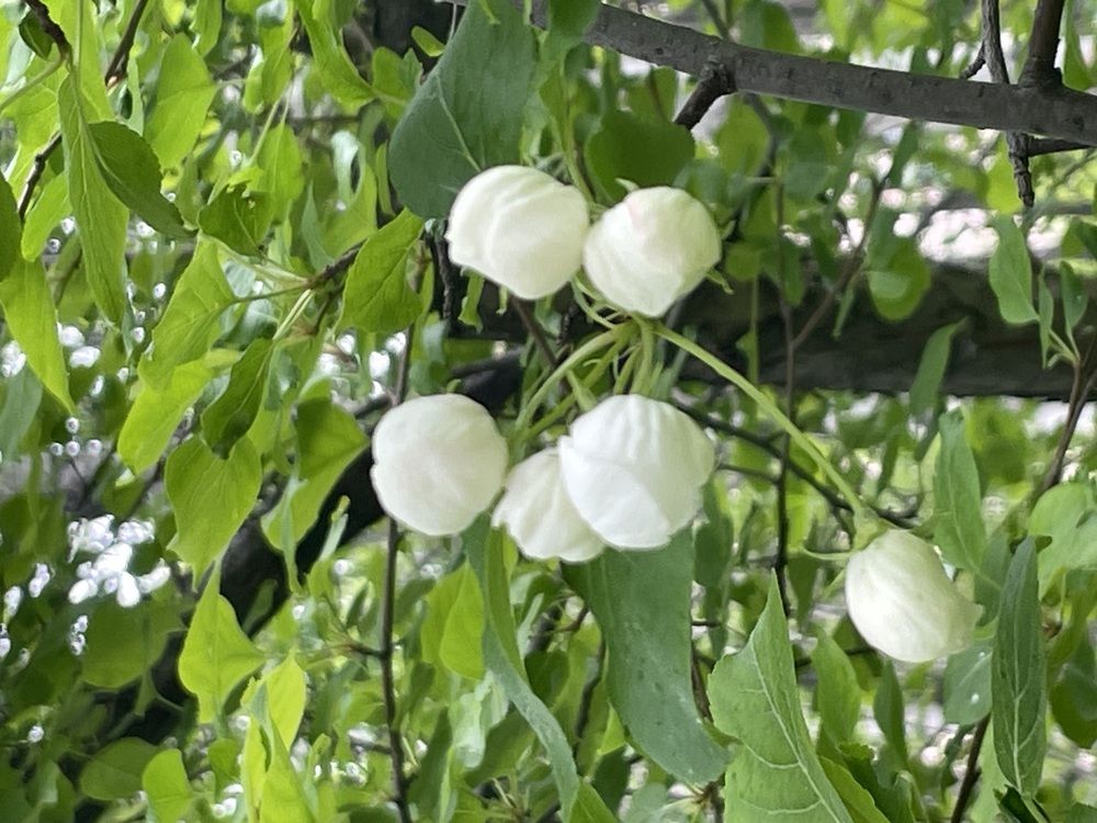 Photograph by Марина Мирошниченко