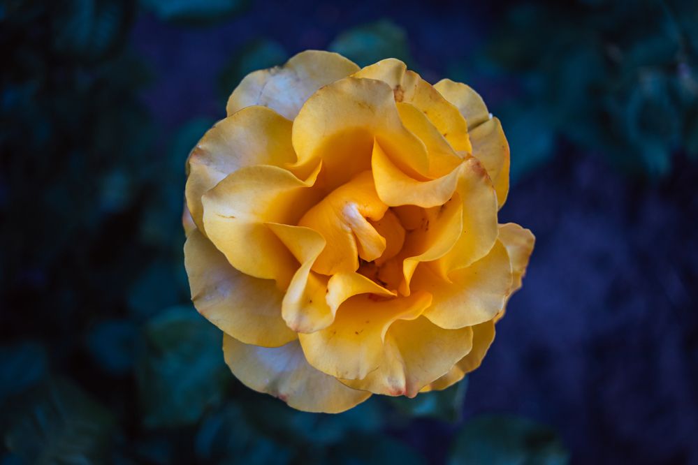 Photograph by Игорь Кабанов