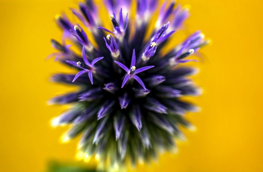 Photograph by Наталья Соколова